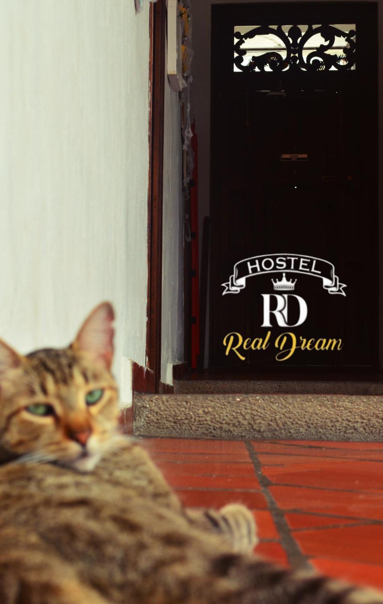 Real Dream Hostel San Gil Exterior photo
